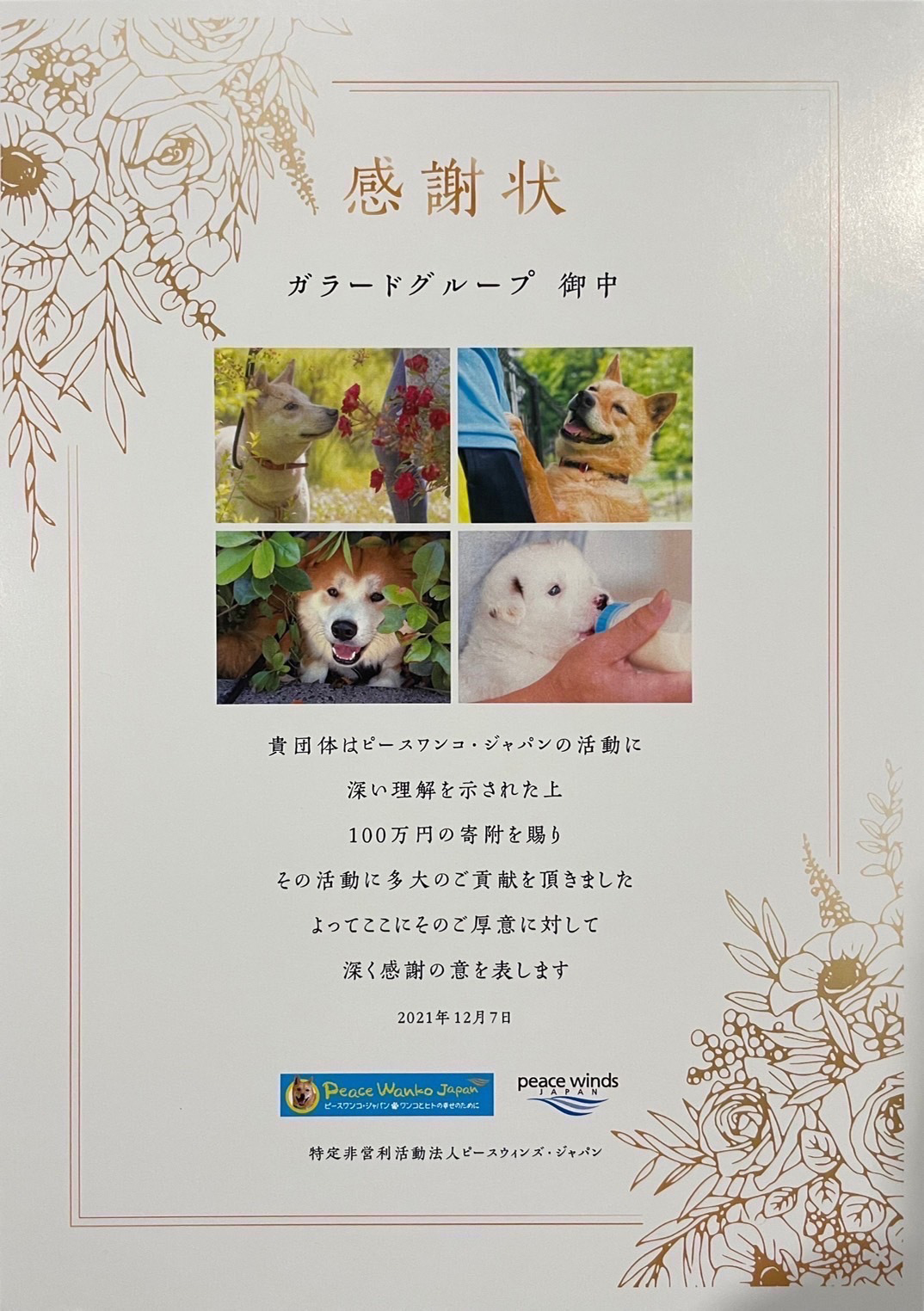 フリーコンテンツ画像